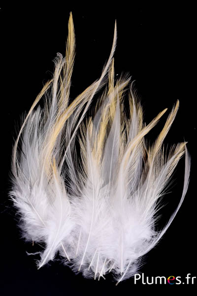 Coq Léon - 10-15 cm - crème naturel
